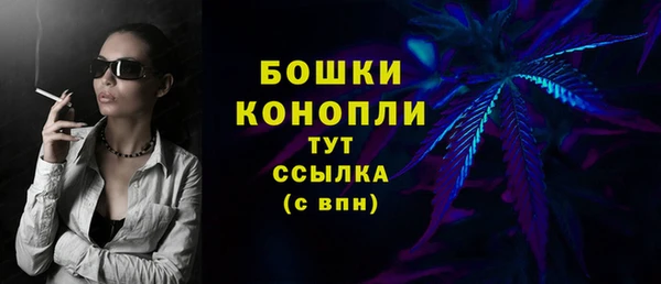 бутират Белокуриха