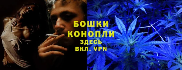 бутират Белокуриха