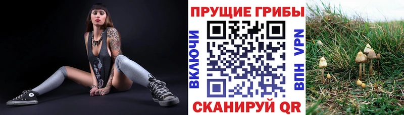 цена Уфа Галлюциногенные грибы Magic Shrooms